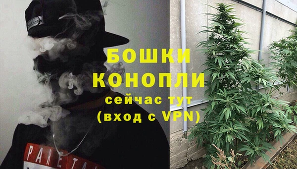 амф Заволжье
