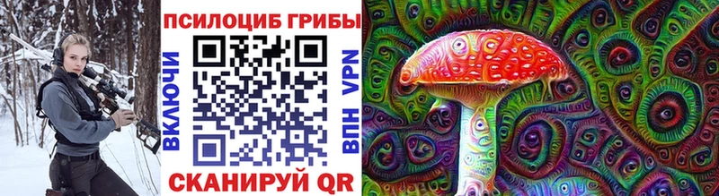 Псилоцибиновые грибы Magic Shrooms  Купить где  Назрань 
